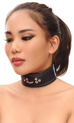 2 inch Leather Trainer Collar 2 inch Leather Trainer Collar