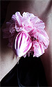 Satin Chastity Pouch 