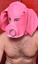 Leather Pig Slave Hood