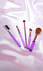 Brush Set (Handbag size)