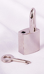Small Lock (with key)
