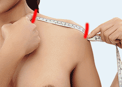neck to shoulder